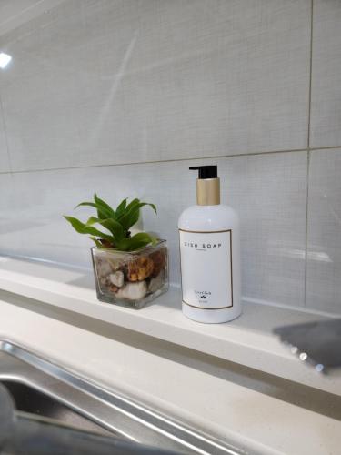 una botella de jabón y una planta en un estante en Room in M Stay Hotel - near Midori, Swissotel, Marriott, Widus, Hann, 