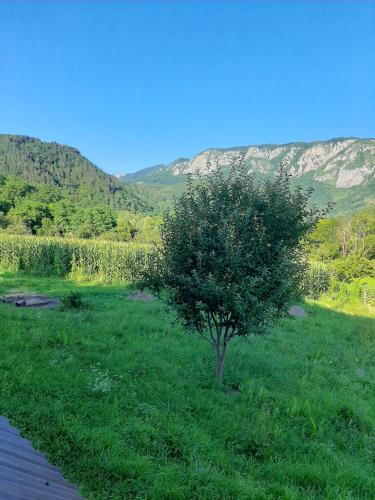 Φυσικό τοπίο κοντά σε αυτός ο ξενώνας