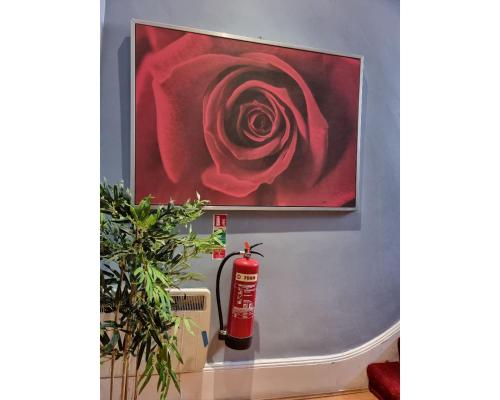 ein Bild einer roten Rose an der Wand in der Unterkunft G3- Great Studio for 2 with Patio near Hyde Park in London