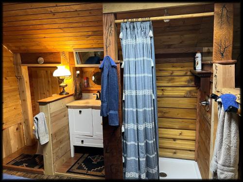 ein Badezimmer mit einer Dusche in einem Blockhaus in der Unterkunft Paragon Penthouse in Martinsville