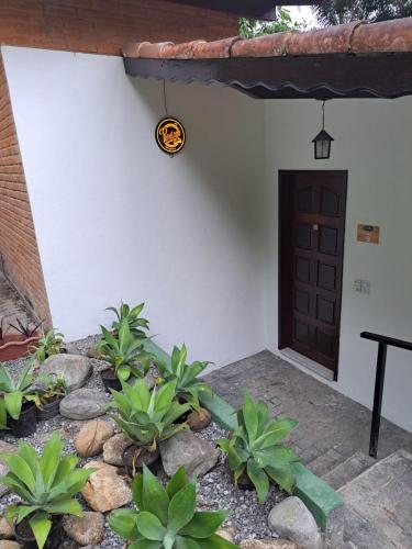a door of a house with plants in front of it at Pousada Valle dos Pássaros in Penedo