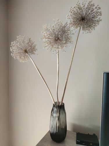 Φωτογραφία από το άλμπουμ του APARTAMENT MAGNOLIA σε Sandomierz