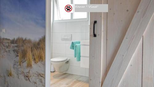 a bathroom with a toilet and a window at Zilt Texel in De Cocksdorp