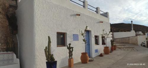 a white building with cactitious plants inront of it at Casa del Capitan in Níjar