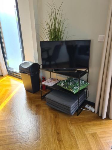 A television and/or entertainment centre at Knus vakantieverblijf voor 2 personen