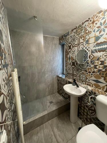 a bathroom with a shower and a sink and a toilet at Art Apartments Govora Cluj in Cluj-Napoca