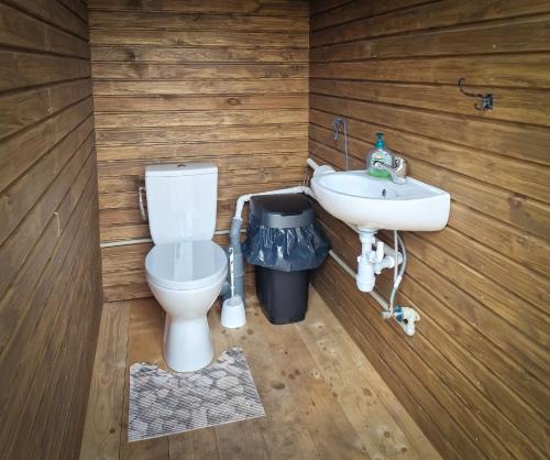 a bathroom with a toilet and a sink at Glamping Fluffy Horns - Glempings Pūkainie Ragi in Plieņciems