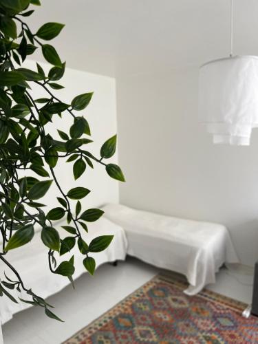 um quarto branco com um banco e uma planta em Design stay in the heart of Punavuori em Helsinque