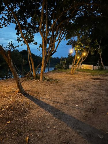 a shadow of a tree on the ground next to the water at Sungai endau bilik homestay in Kuala Rompin