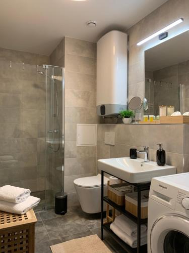 a bathroom with a sink and a toilet and a shower at Ap-art-mán 08 in Mikulov