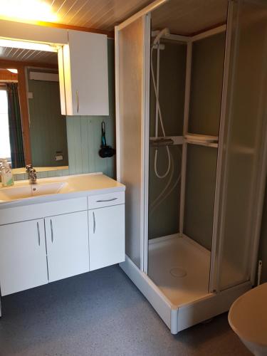 a bathroom with a shower and a sink at Houmbgaarden in Røros