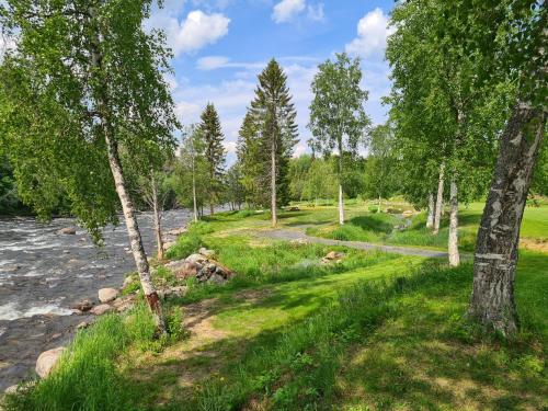 a path next to a river with trees at Camp Dammån in Hallen