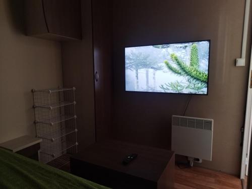 a flat screen tv on the wall of a bedroom at coin de paradis bord de Saone (avec jacuzzi) in Massieux
