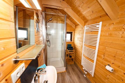 a bathroom with a shower and a sink and a toilet at 5 Sterne Ferienhaus Annika mit Kamin, Seeblick und großer Terrasse in Rieden