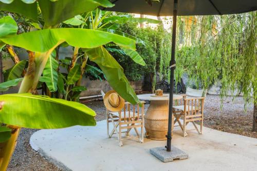 สวนหย่อมนอก Casa Paleopolis