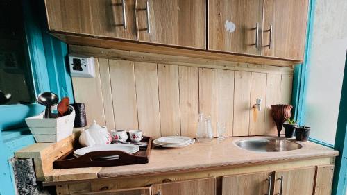 罕薩的住宿－Hillhouse Hunza，厨房配有水槽和台面