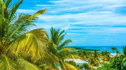 a view of a beach with palm trees and the ocean at Castles In Paradise Villa Resort in Vieux Fort