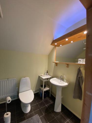 un baño con inodoro y lavabo en B&B Borgunda, en Borgunda