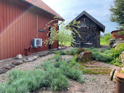 Kebun di luar B&B Borgunda