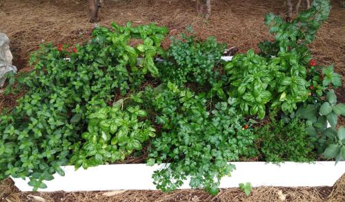 a bunch of green plants in a white planter at Raggio Di Sole in Alberobello