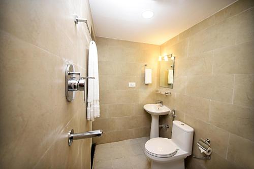 La salle de bains est pourvue de toilettes et d'un lavabo. dans l'établissement Divine Kathmandu Hotel, à Katmandou