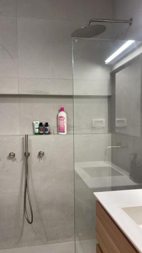 La salle de bains est pourvue d'une douche en verre et d'un lavabo. dans l'établissement סוויטה פרטית ברמת צבי, à Temarah