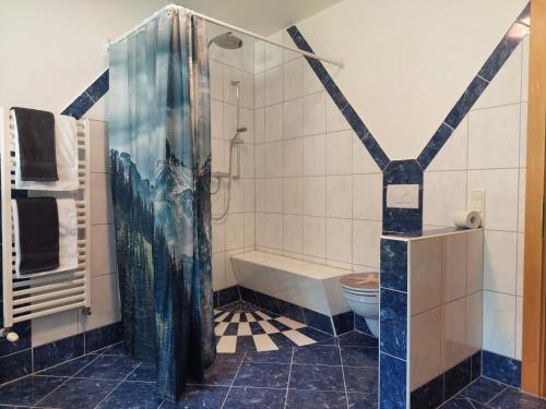 a bathroom with a shower and a toilet at Mandla's Hoamat in Umhausen