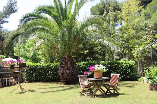 Apartment With a Garden
