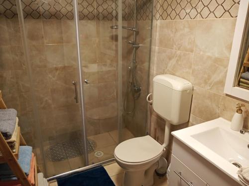 a bathroom with a shower with a toilet and a sink at Yafe Nof 35 in Ashqelon