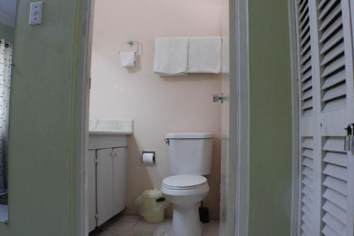 a bathroom with a white toilet and a sink at Finest Accommodation Renfrew Place 1 Bedroom Apt # 42 New Kgn 4--12 Renfrew Rd in Kingston