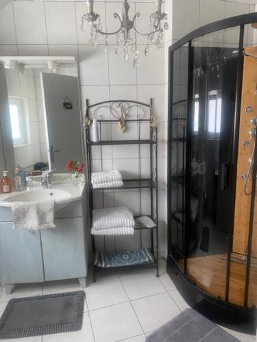 a bathroom with a shower and a sink at Villa Vero in Contrexéville
