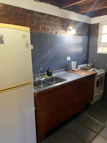 a kitchen with a white refrigerator and a sink at Altos de la Laguna in Chascomús