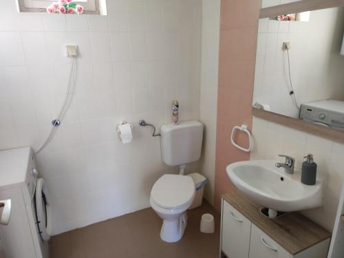 a bathroom with a toilet and a sink at Studio apartman Vuković 4 zvjezdice in Bizovac