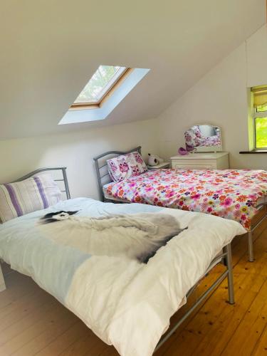 a bedroom with two beds and a window at Clonmines lodge in Wexford