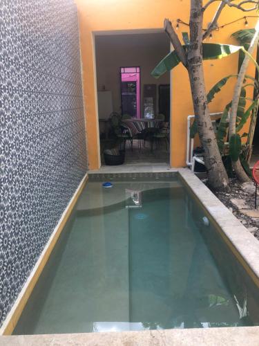 a swimming pool in the middle of a house with a tree at Villa Candita, a unos pasos del Paseo Montejo in Mérida