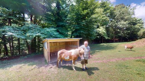 a man standing next to a small horse in a field at Ferienhaus Kleissner in Nestelberg
