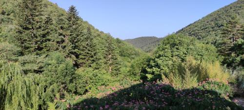 dolina gór z kwiatami i drzewami w obiekcie La maison Do w mieście Lunas