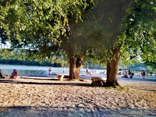 a group of people on a beach with trees at Banin in Skradin