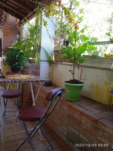 een patio met 2 stoelen en een potplant bij Pertinho da Mata Kitnete in Cachoeiras de Macacu