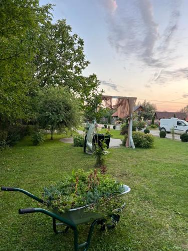 Φυσικό τοπίο κοντά σε αυτό το ξενοδοχείο