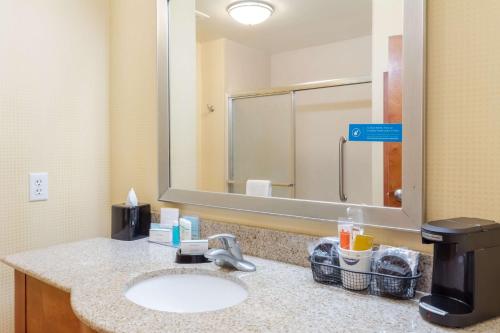 a bathroom with a sink and a large mirror at Hampton Inn Ringgold-Ft. Oglethorpe in Ringgold