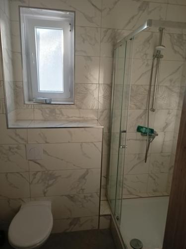 baño con ducha y aseo y ventana en Hotel Bruchsaler Herz, en Bruchsal
