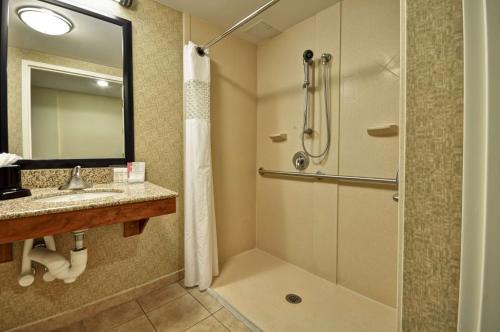 a bathroom with a shower and a sink at Hampton Inn Chicago-Gurnee in Gurnee
