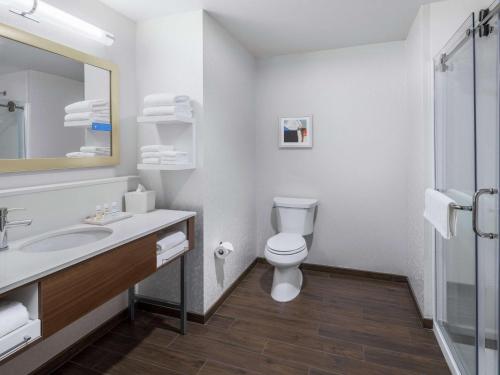 uma casa de banho com um WC, um lavatório e um espelho. em Hampton Inn Chicago McCormick Place em Chicago