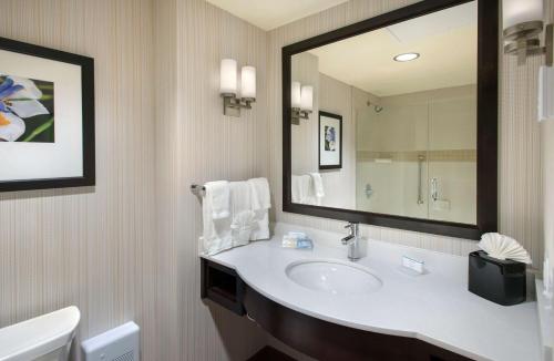 a bathroom with a sink and a large mirror at Hilton Garden Inn Chicago Downtown Riverwalk in Chicago