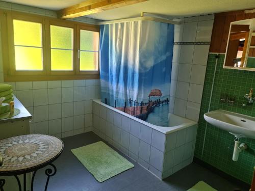Koupelna v ubytování Ferienwohnung Berner Oberland - Guttannen