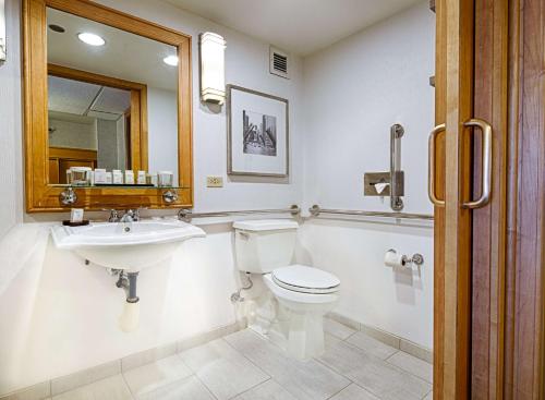 a bathroom with a toilet and a sink and a mirror at Embassy Suites by Hilton Chicago O'Hare Rosemont in Rosemont
