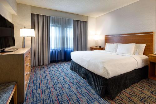 a hotel room with a large bed and a television at Embassy Suites by Hilton Chicago O'Hare Rosemont in Rosemont