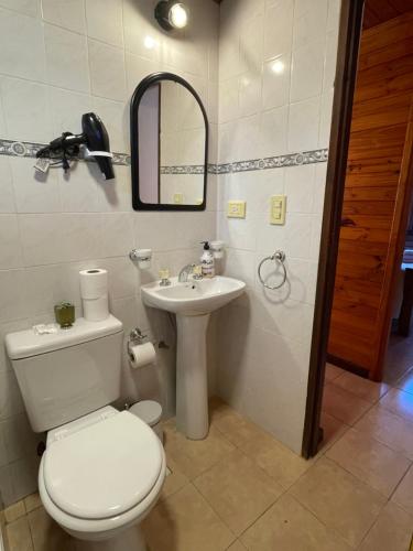 a bathroom with a toilet and a sink at La Comarca Azul in El Calafate