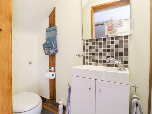 a small bathroom with a toilet and a sink at The Studio, Horseshoe Cottage in Fulbourn